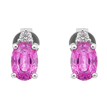 ELVA - WHITE GOLD PINK SAPPHIRE EARRING